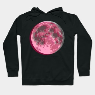 Rose Moon Hoodie